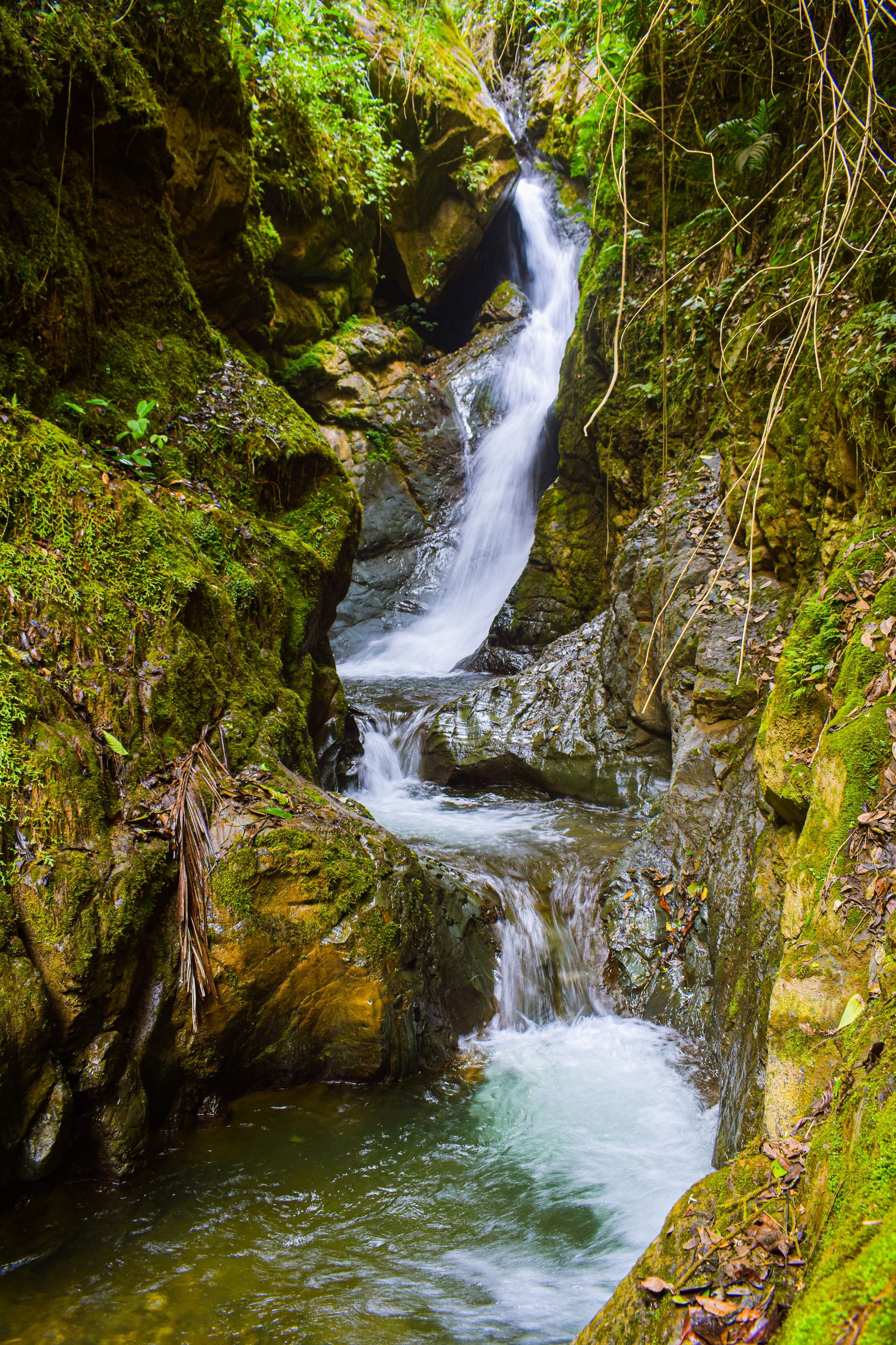 Termales de Nariño, Antioquia